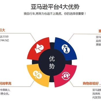 河南跨境电商无货源店群模式 新兴电子商务服务的机遇与挑战