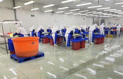 潍品出海行更远 潍坊市贸促会以跨境电商服务，助力企业扬帆世界商圈